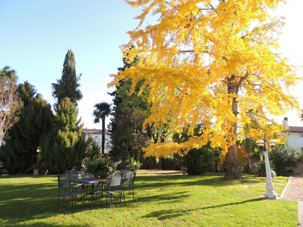Ginkgo * Ronchis