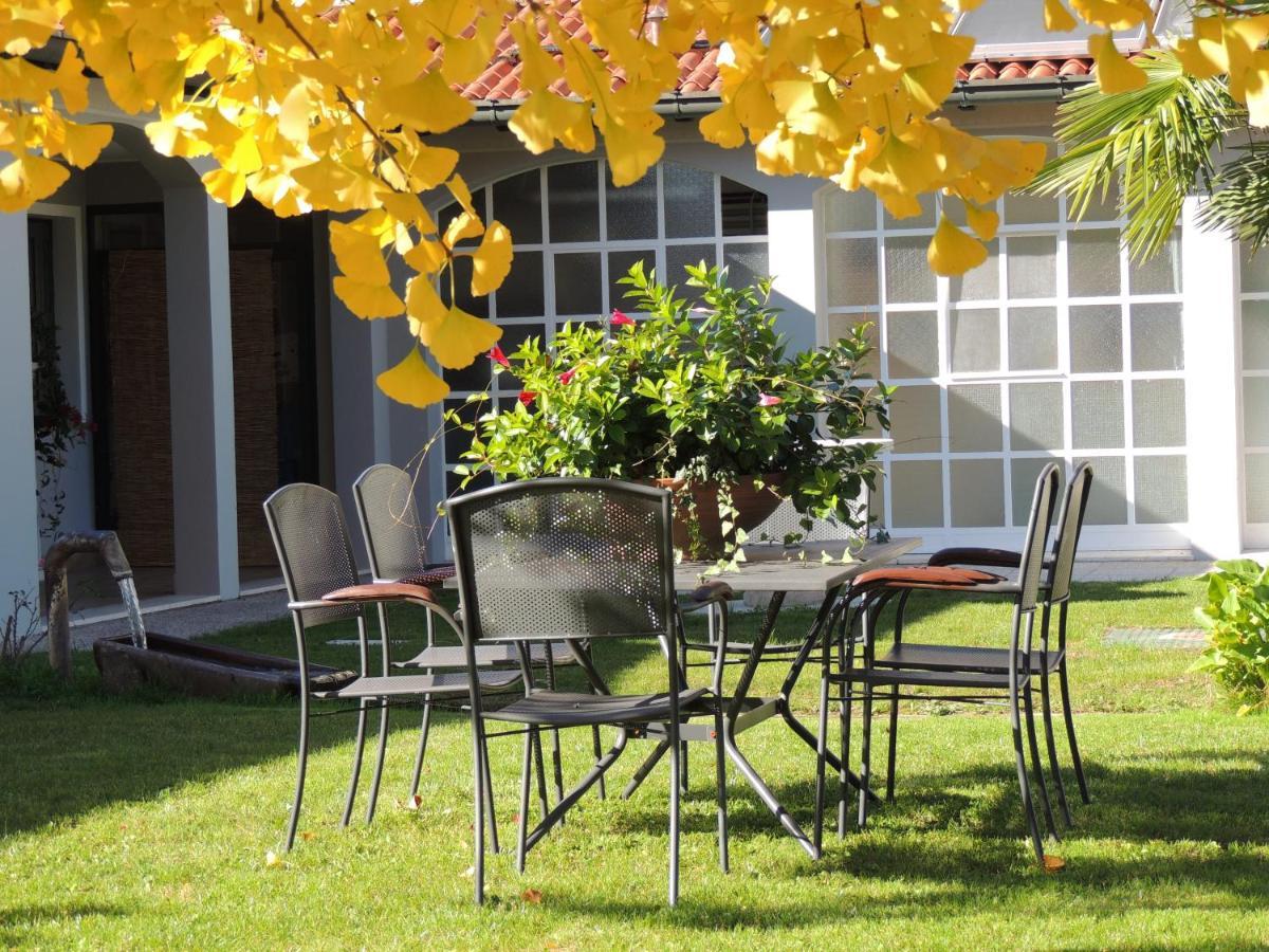 Affittacamere Ginkgo Ronchis